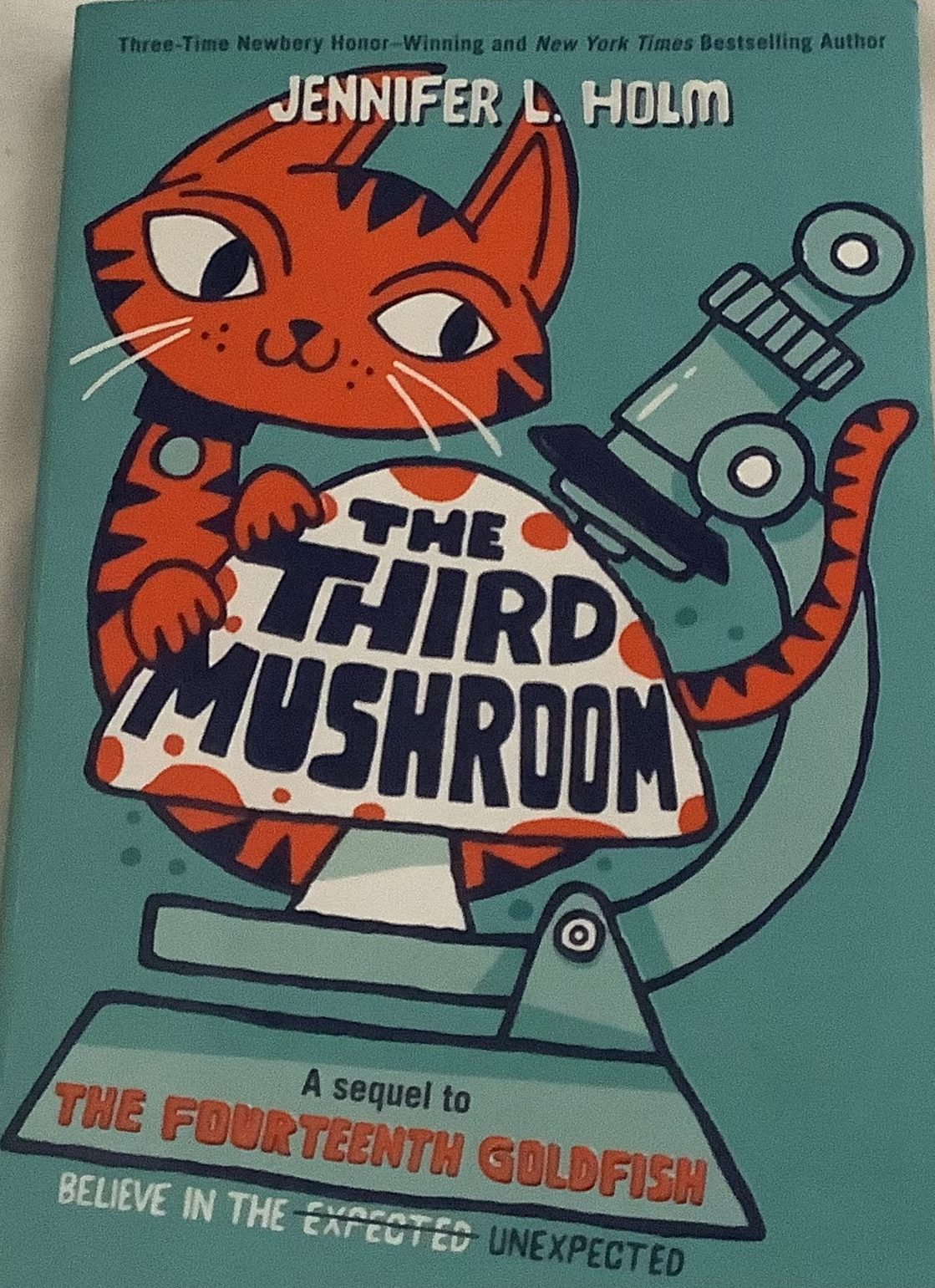 The Third Mushroom Book Cover